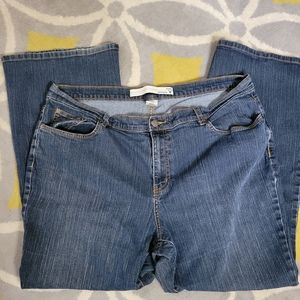 Lane Bryant Venezia plus jeans 22 Petite